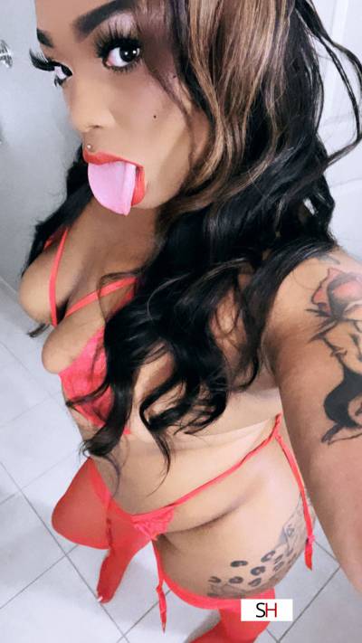 20 Year Old Mixed Escort Dallas TX Brunette - Image 1