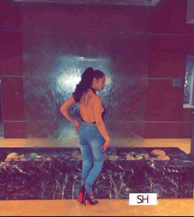 Denver 20Yrs Old Escort 159CM Tall Denver CO Image - 3