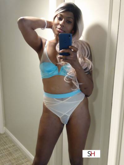 Earnest 20Yrs Old Escort Size 12 174CM Tall New York City NY Image - 4