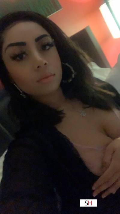 Gigi 20Yrs Old Escort 163CM Tall Dallas TX Image - 1