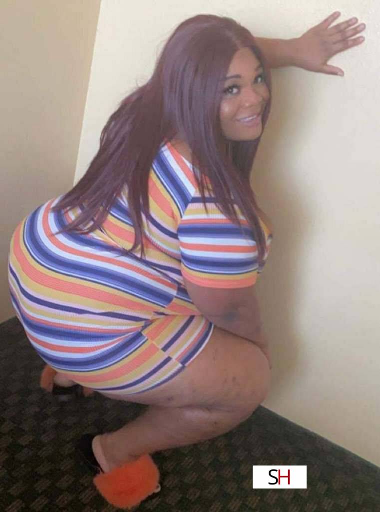 20Yrs Old Escort Size 10 162CM Tall Austin TX Image - 3