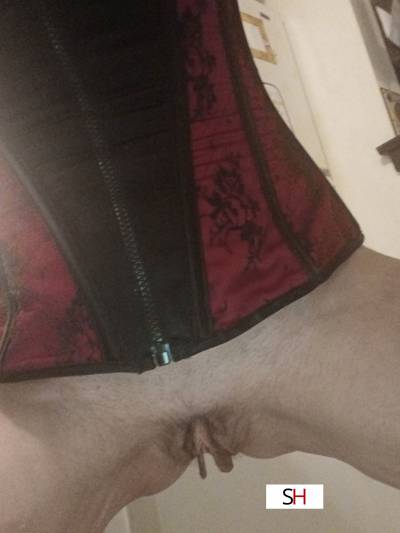 40Yrs Old Escort Size 10 173CM Tall Glenview IL Image - 0