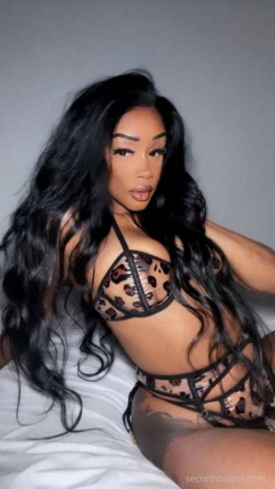 0 year old Asian Escort in St. Louis MO Morgan J
