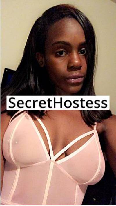 21 year old American Escort in Los Angeles CA Ava