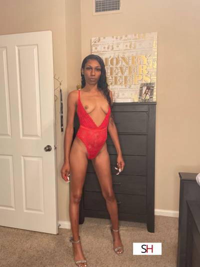 Escort 176CM Tall Houston TX Image - 3