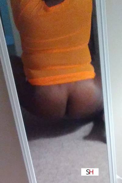 20Yrs Old Escort Size 8 158CM Tall Wilmington NC Image - 4