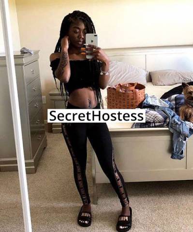 21 Year Old American Escort Chicago IL Brunette - Image 2