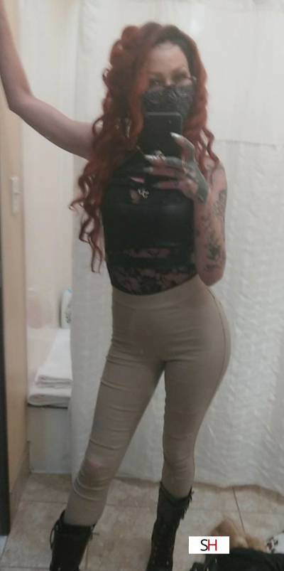 27Yrs Old Escort Size 8 167CM Tall Dallas TX Image - 10