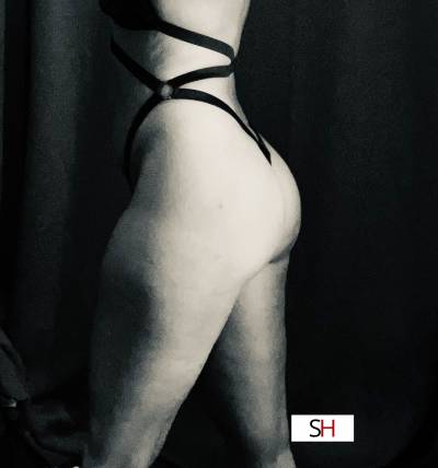 30Yrs Old Escort Size 6 158CM Tall Minneapolis MN Image - 12