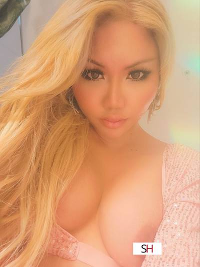 Lexy 20Yrs Old Escort Size 8 168CM Tall Denver CO Image - 28