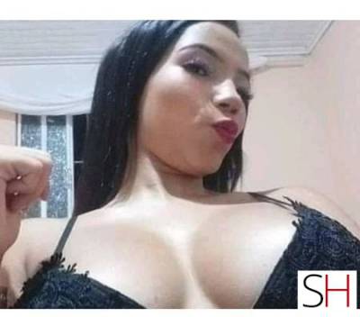 18Yrs Old Escort Paraná Image - 2