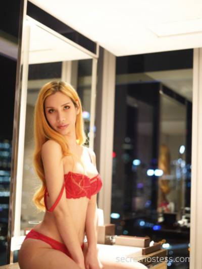 Ariana 24Yrs Old Escort 168CM Tall Adelaide Image - 2