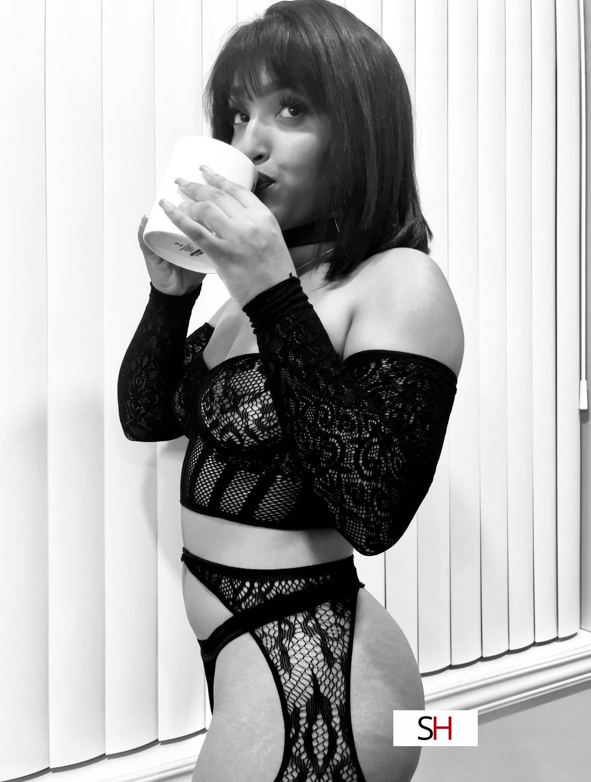 20Yrs Old Escort Size 6 149CM Tall Boston MA Image - 13