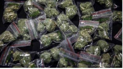 30 year old Escort in Alexandria LA I'm available for drugs and cannabis