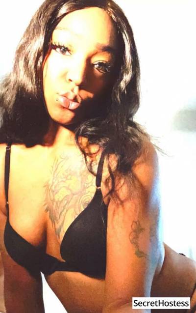 Ashley 20Yrs Old Escort 75KG 174CM Tall Columbus OH Image - 2