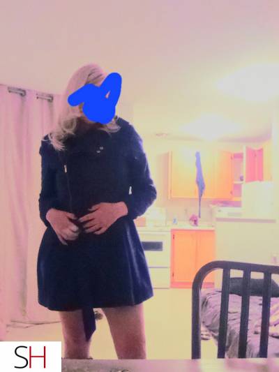 36Yrs Old Escort 167CM Tall Sault Ste Marie Image - 3