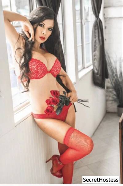 Brenda 35Yrs Old Escort 53KG 161CM Tall San Jose CA Image - 1