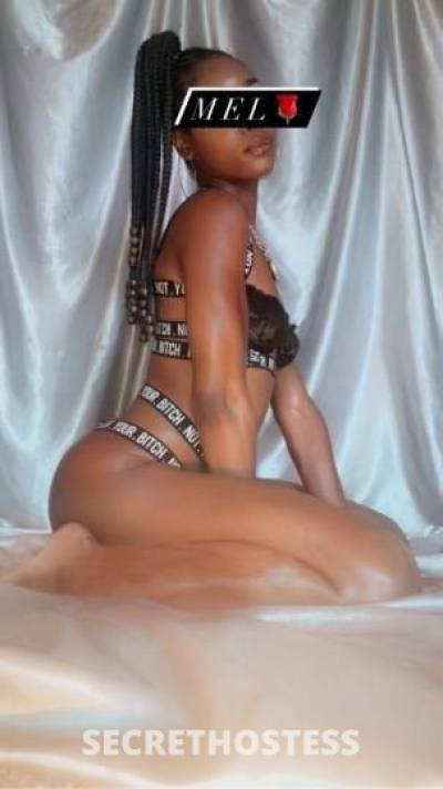 Mel 24Yrs Old Escort Sacramento CA Image - 5