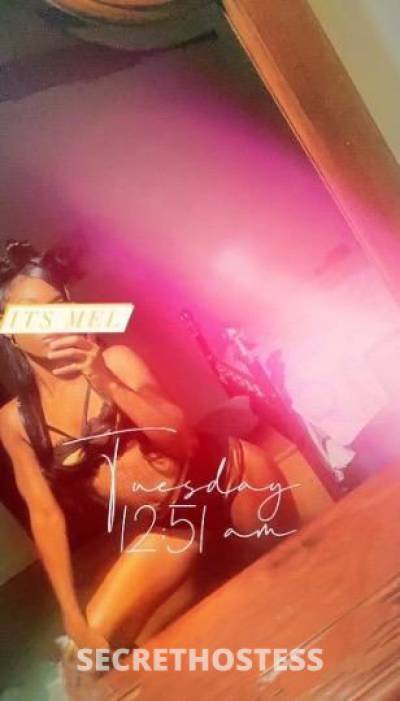 Mel 24Yrs Old Escort Sacramento CA Image - 7