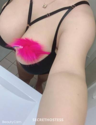 28Yrs Old Escort Size 14 Brisbane Image - 8