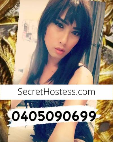 24 year old Escort in Adelaide TS Alicia