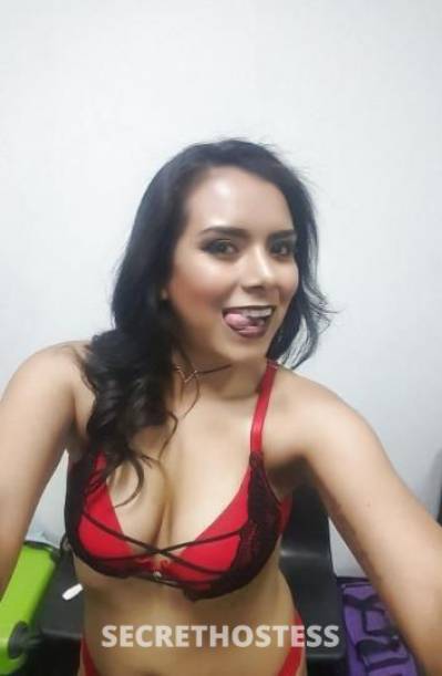 27 year old Escort in Auburn AL Avaliable Now InCall Outcall cardates Specials 24 7