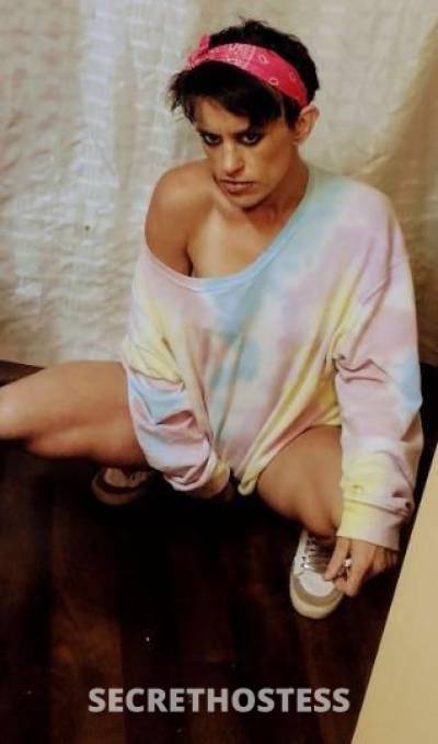 33Yrs Old Escort Little Rock AR Image - 2