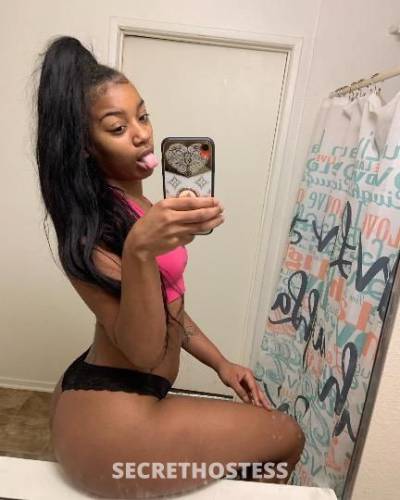 Misty 22Yrs Old Escort 167CM Tall Concord CA Image - 3