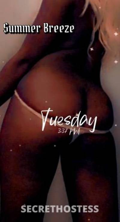 24Yrs Old Escort Chicago IL Image - 1