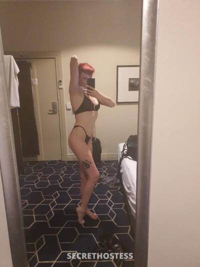 27Yrs Old Escort Size 8 Hobart Image - 1