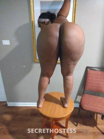 27Yrs Old Escort Chicago IL Image - 2