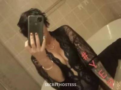 34Yrs Old Escort Size 8 Bundaberg Image - 1