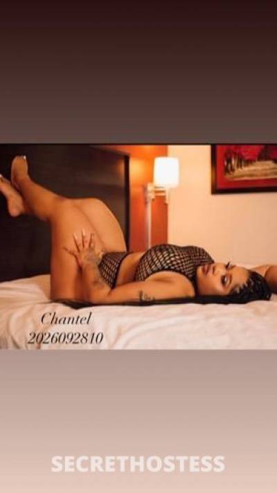 Chantel 26Yrs Old Escort Washington DC Image - 1