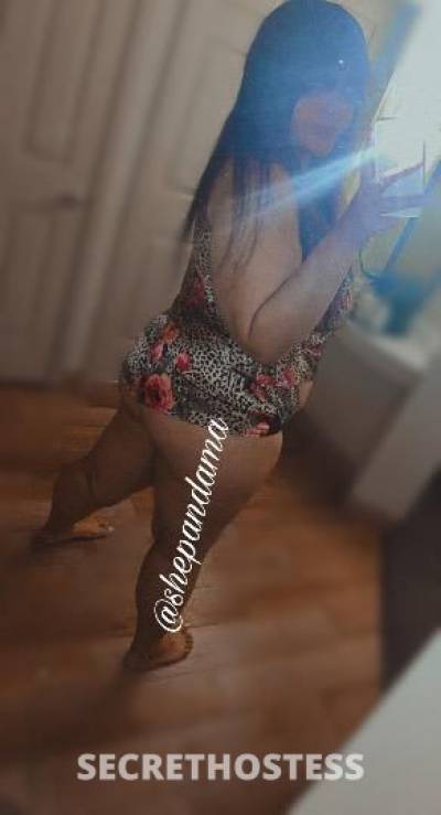 Cutie 24Yrs Old Escort Washington DC Image - 8