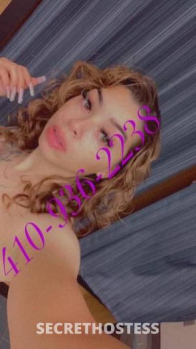 Dream 26Yrs Old Escort Washington DC Image - 2