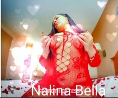 Nalina 31Yrs Old Escort Washington DC Image - 11