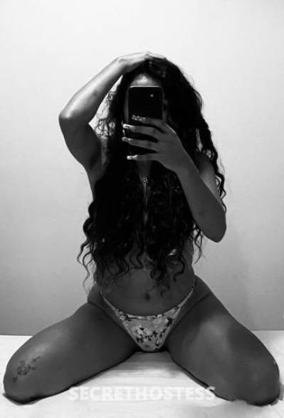 21 Year Old Colombian Escort Miami FL - Image 3
