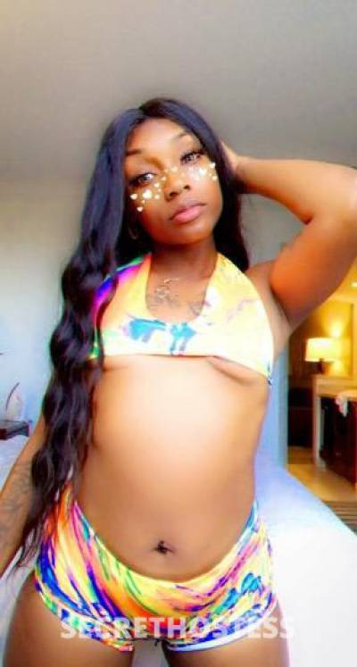 23Yrs Old Escort Tampa FL Image - 1