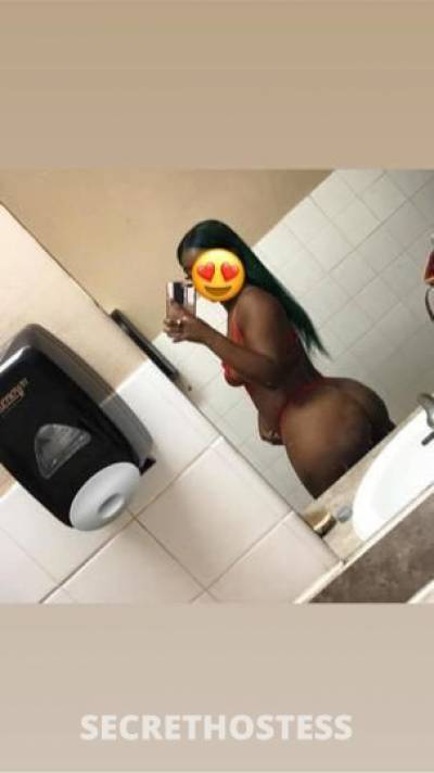 24 year old Australian Escort in West Palm Beach FL Incallls Or Outcalls Depends On Location