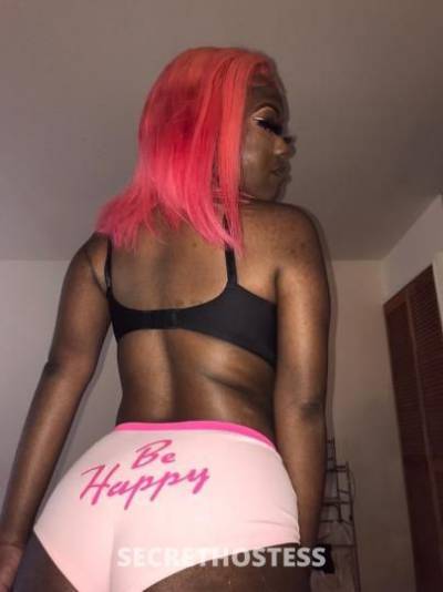 24Yrs Old Escort Miami FL Image - 2