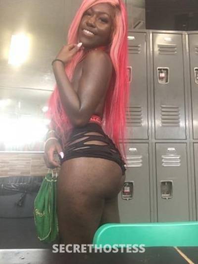 24Yrs Old Escort Miami FL Image - 3