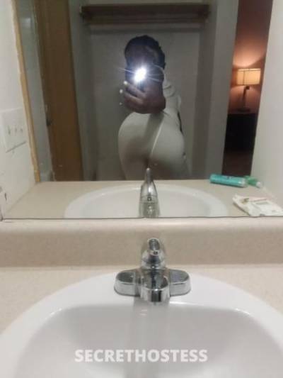 24Yrs Old Escort Tampa FL Image - 3