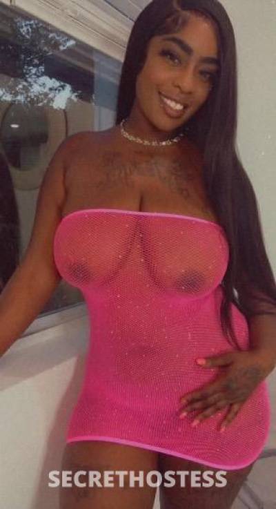 26Yrs Old Escort Tampa FL Image - 2