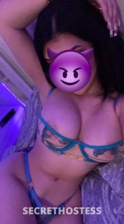 26 Year Old Latino Escort Tampa FL - Image 5