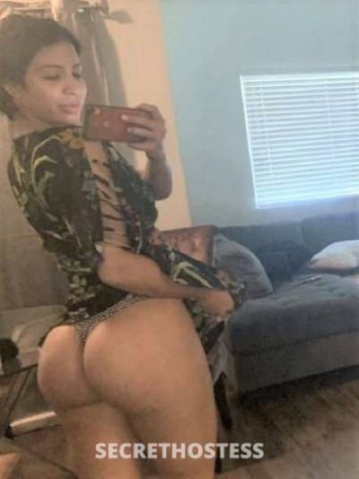 27Yrs Old Escort Sarasota FL Image - 4