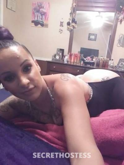 27Yrs Old Escort Sarasota FL Image - 4