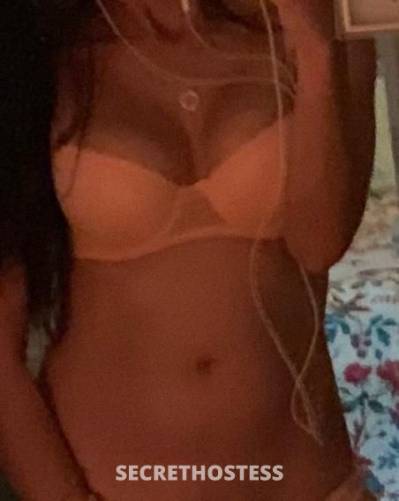 28Yrs Old Escort Sunshine Coast Image - 1