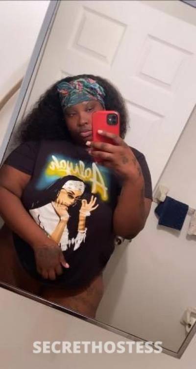 28Yrs Old Escort Miami FL Image - 2