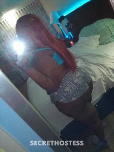 28Yrs Old Escort West Palm Beach FL Image - 2