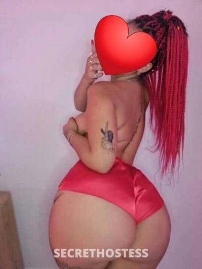 28 Year Old Latino Escort Miami FL - Image 1